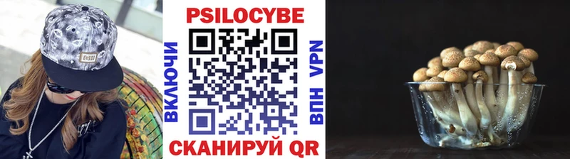 Псилоцибиновые грибы прущие грибы  Нижняя Салда 